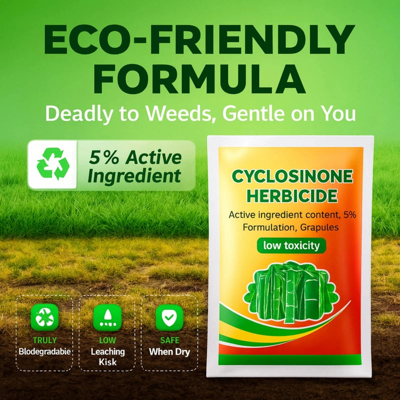 https://cdn.dropmagic.ai/medias/10f5b0ac-fed8-45ec-9649-87c824c12f9a.webp