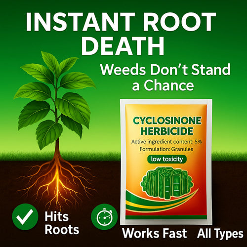 https://cdn.shopify.com/s/files/1/0661/8657/6105/files/CyclosinoneHerbicideGranules_5.webp?v=1763271989